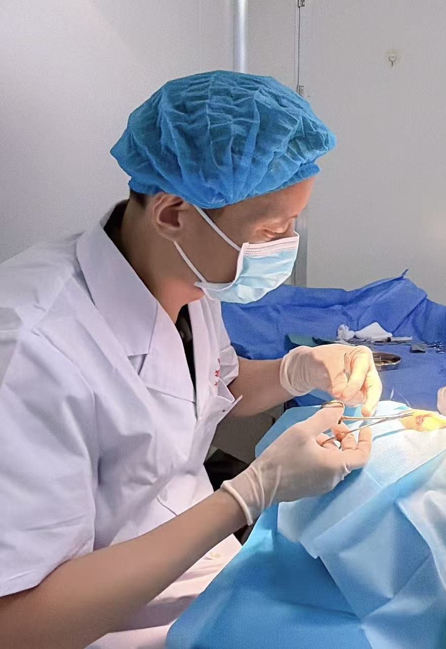卢邦医生专注进行临床操作